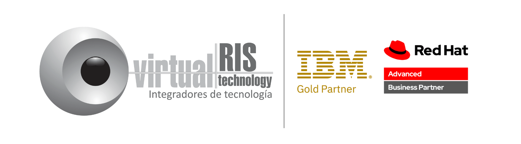 VirtualRis